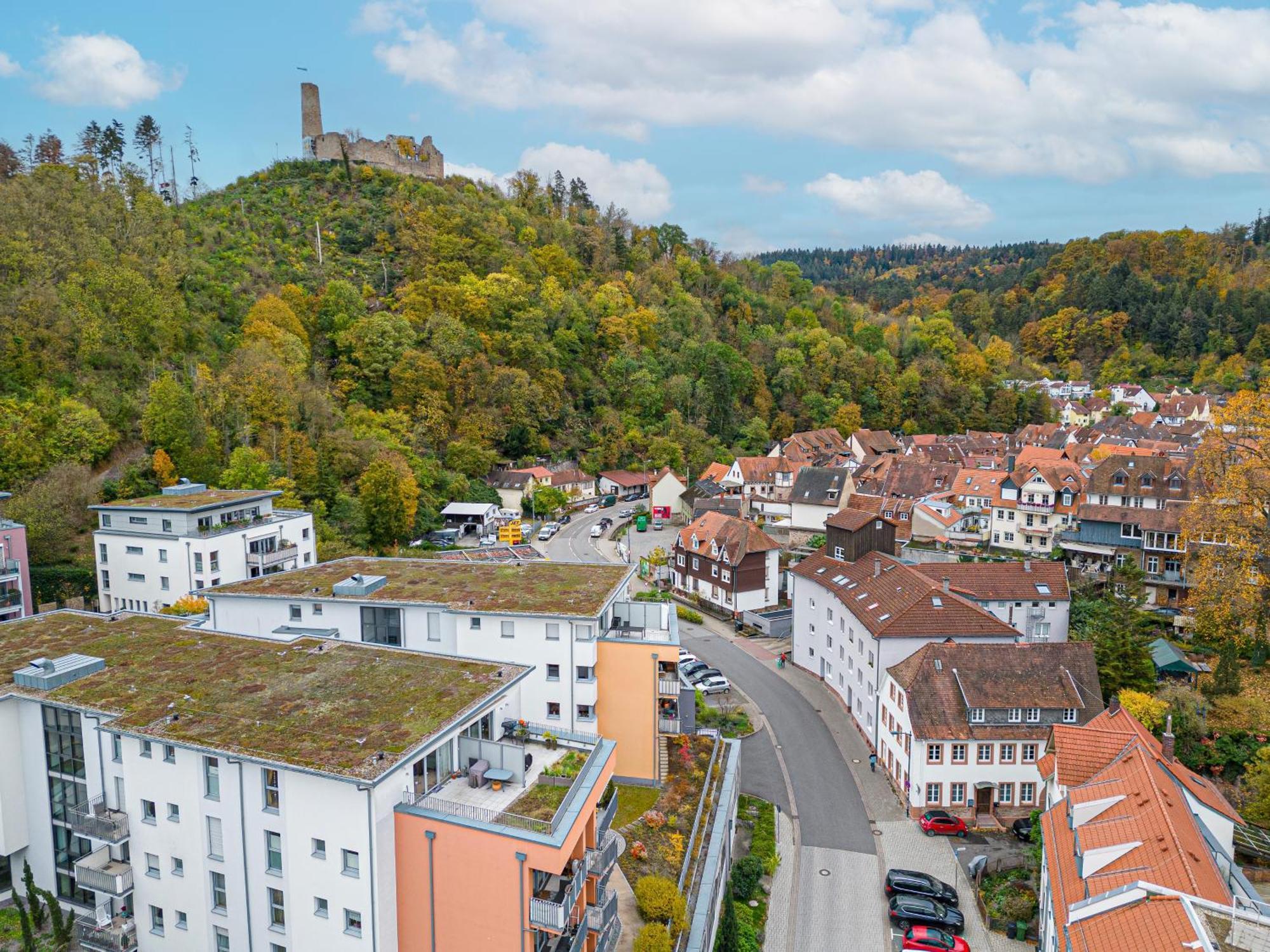 Lit Living Weinheim Altstadt - Boutique Apartments - Parking Esterno foto